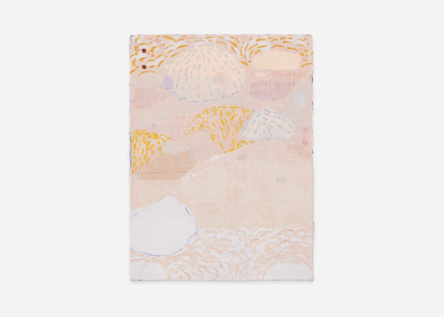 janelas e jardins, 2026